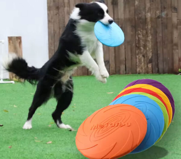 OUZEY Bite Resistant Flying Disc Toys For Dog Multifunction Pet Puppy Training Toys Outdoor Interactive Game Pet Dogs Products - Image 5