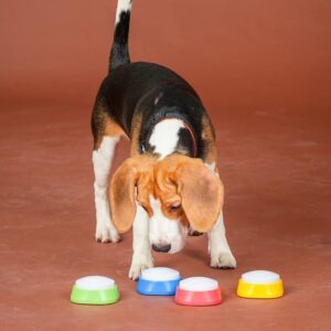Pet Communication Buttons – 30-Second Recordable Training Buzzers (Set of 3 – Blue, Orange, Yellow)